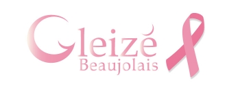 Mairie de Gleizé